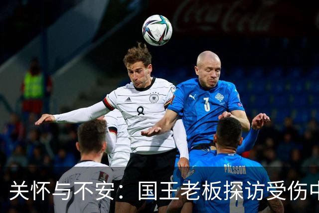 关怀与不安：国王老板探访受伤中锋雷诺