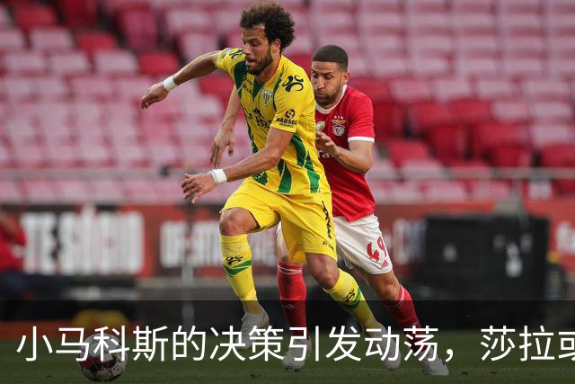 小马科斯的决策引发动荡，莎拉或被盟友出卖